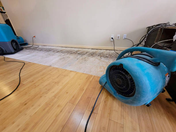 Professional Water Damage Repair technician working in Green Village, NJ